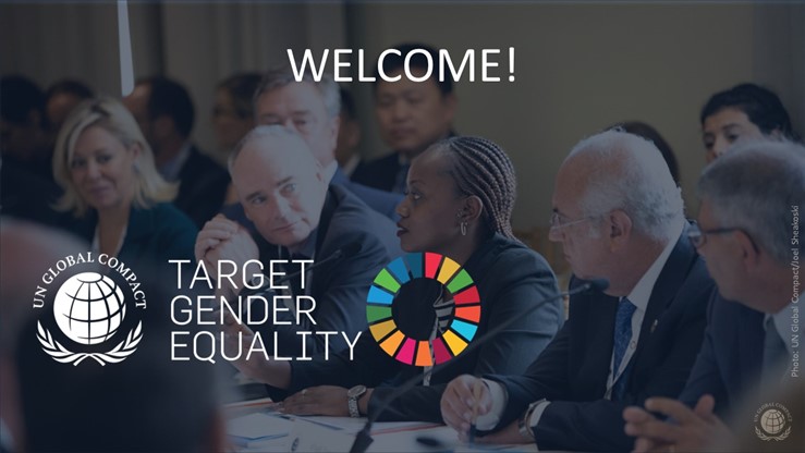 Održali smo Welcome call za drugi ciklus Target Gender Equality programa